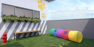 Area-Pet-Bueno-Centro-Rio-de-Janeiro