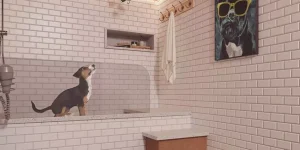 Espaço-Pet-Okre-Humaitá