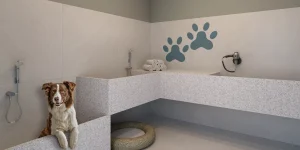 Pet-Care-Connect-Square-Centro