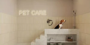 Pet-Care-Soul-Rio-Bairro-de-Fátima-Centro
