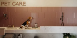 Pet-Care-Soul-Rio-Princesa-Januária-Rio-de-Janeiro-Flamengo