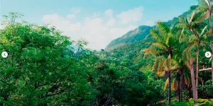 Piscina-Kaasas-Pedra-da-Gávea
